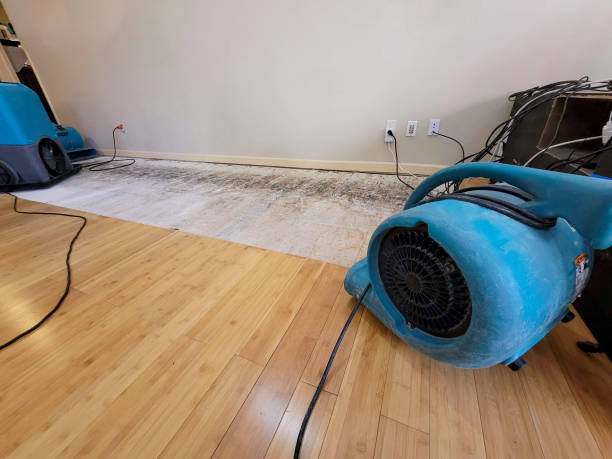 Professional Ceiling Water Damage Repair technician working in Absaraka, ND