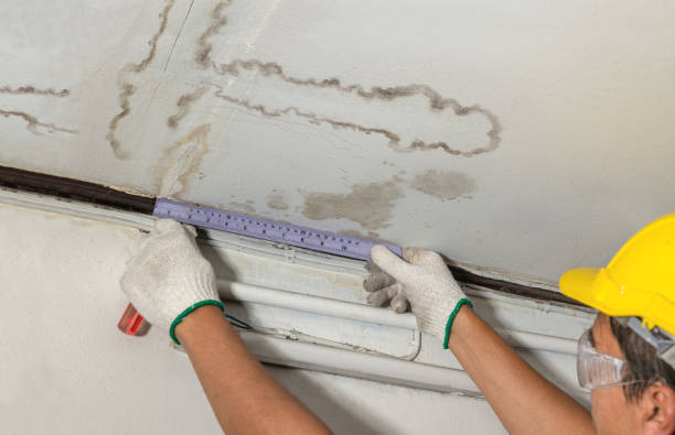 Affordable Ceiling Water Damage Repair solutions in Absaraka, ND